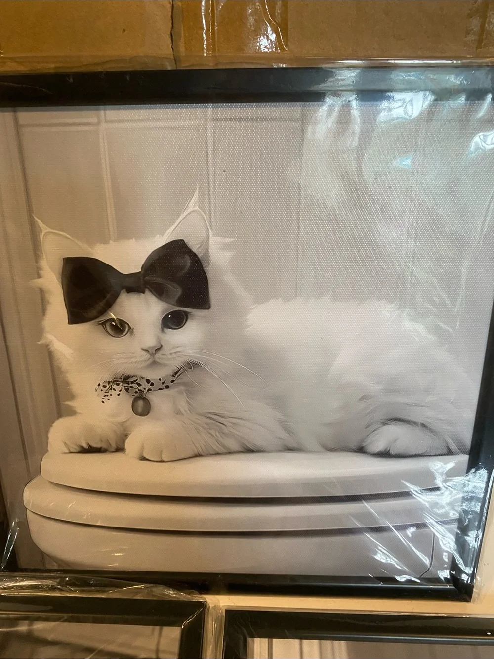 NIB Set of 3 Framed Black and White Prints of White Cats